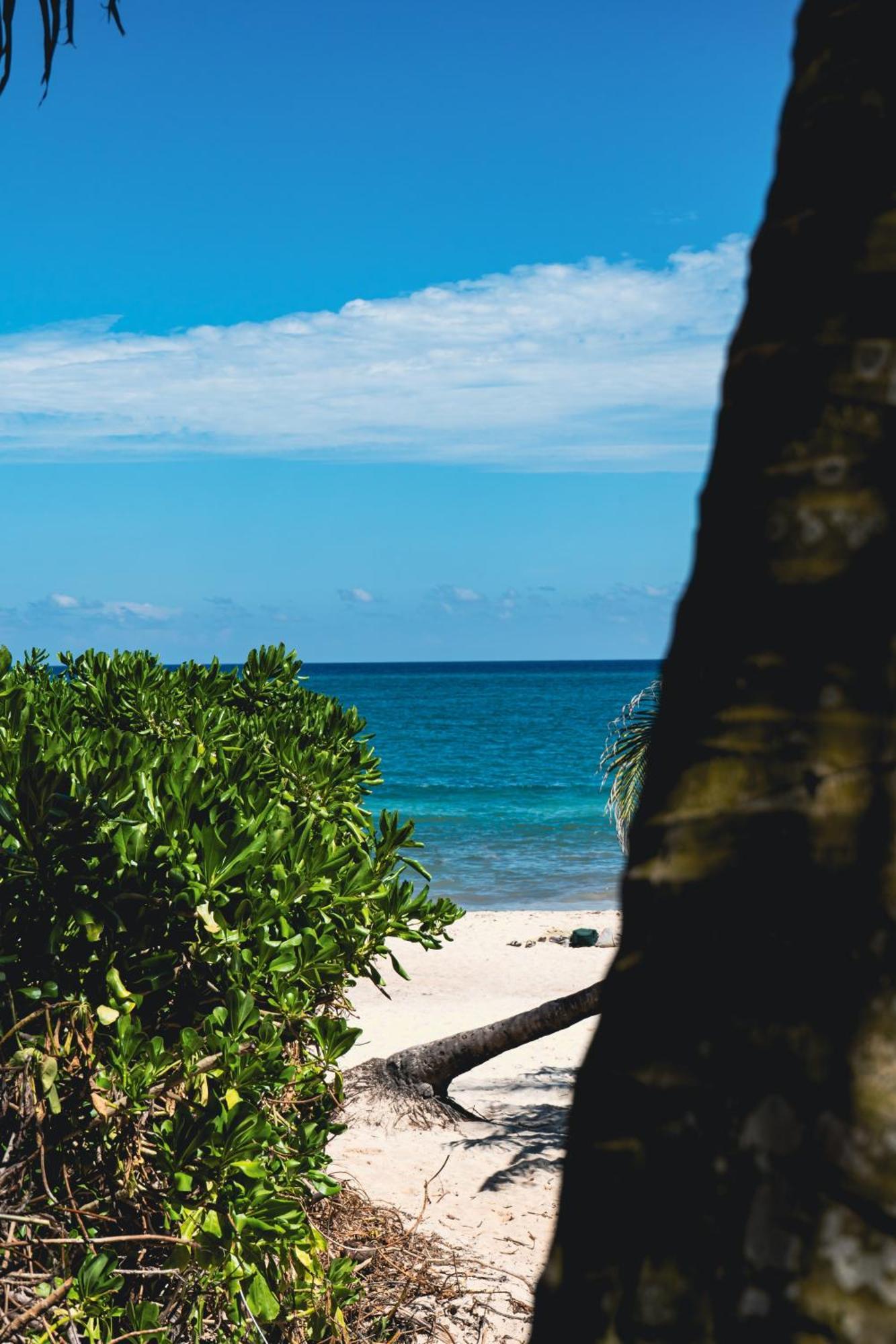 Tunich Jungle Cabanas Tulum Eksteriør billede